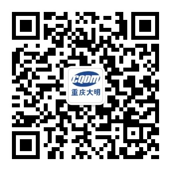 重慶市大明汽車電器永久免费无代码开发平台网站